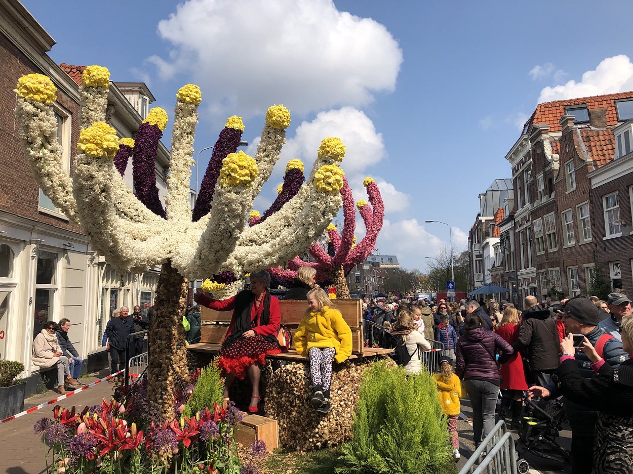 Parada Kwiatów Bloemencorso