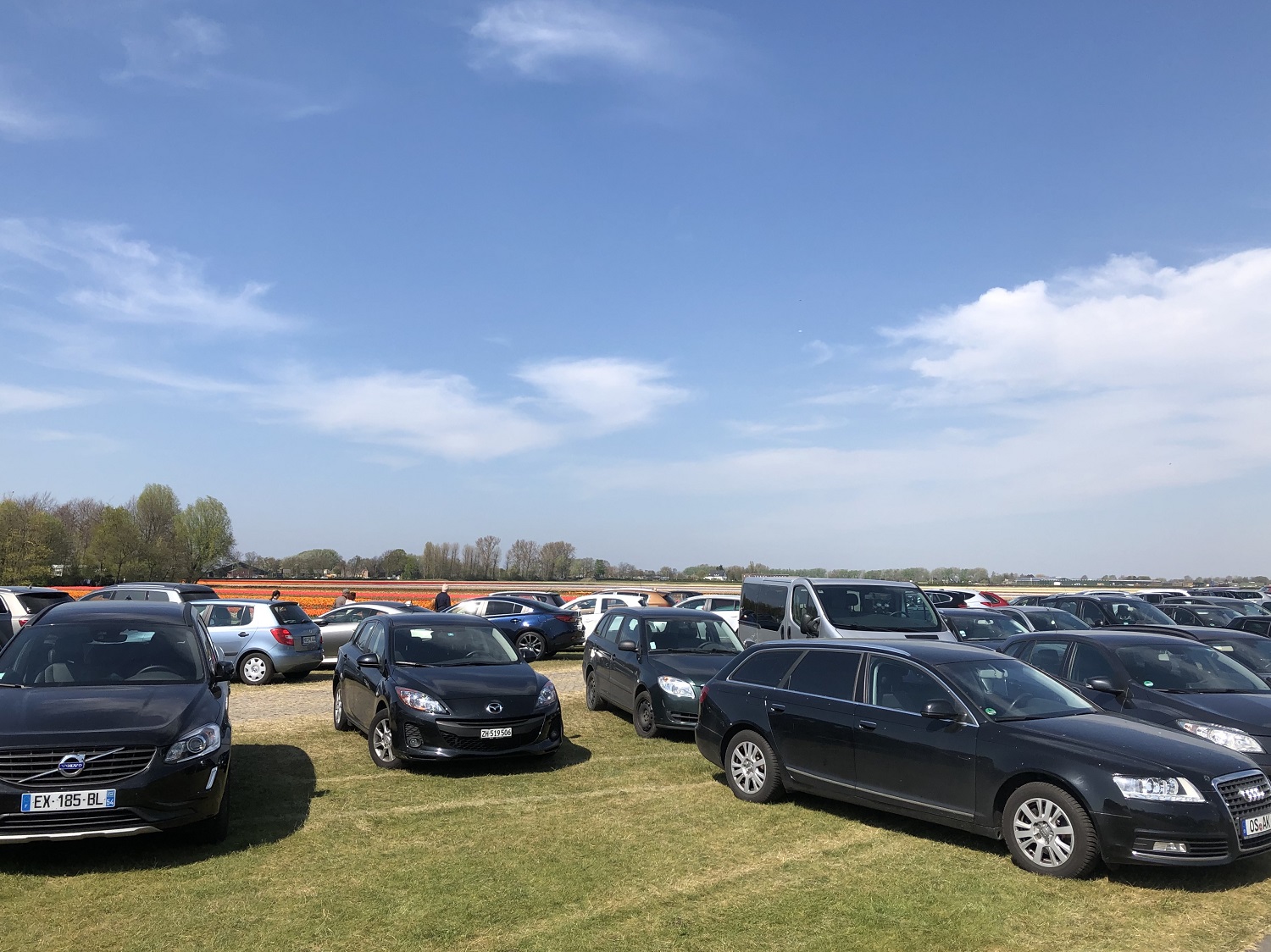 Adres parkingu Keukenhof