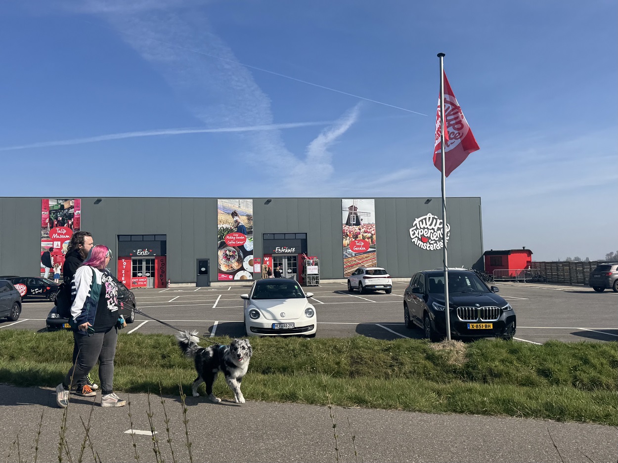 Tulip Experience Amsterdam
