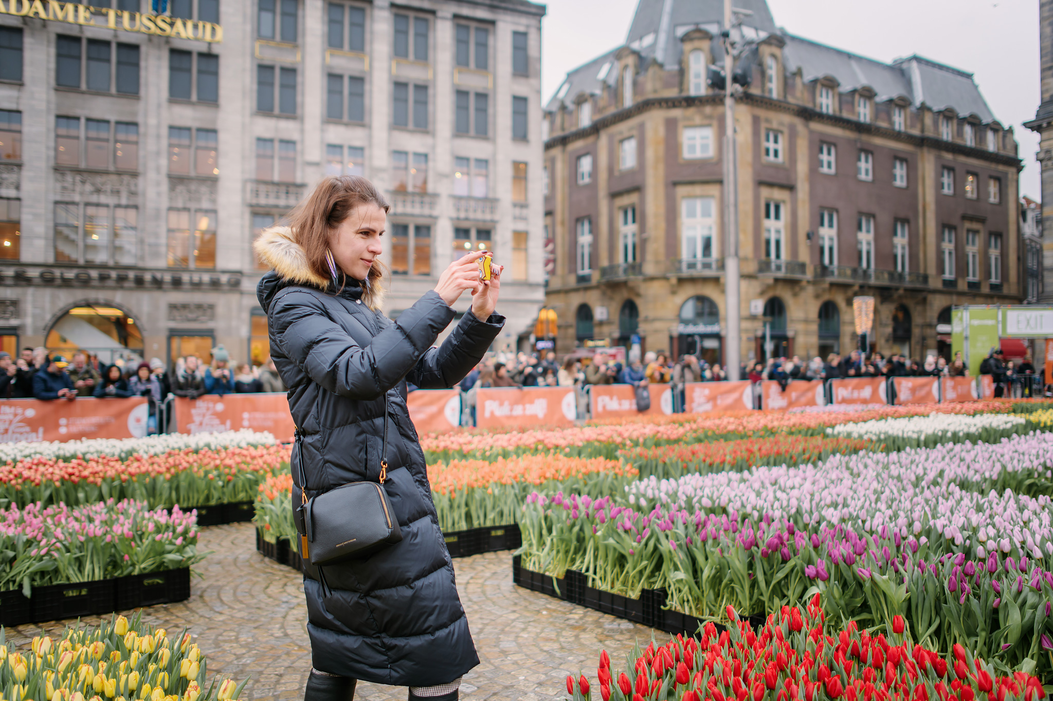 Festiwal-Tulipanów.com O nas