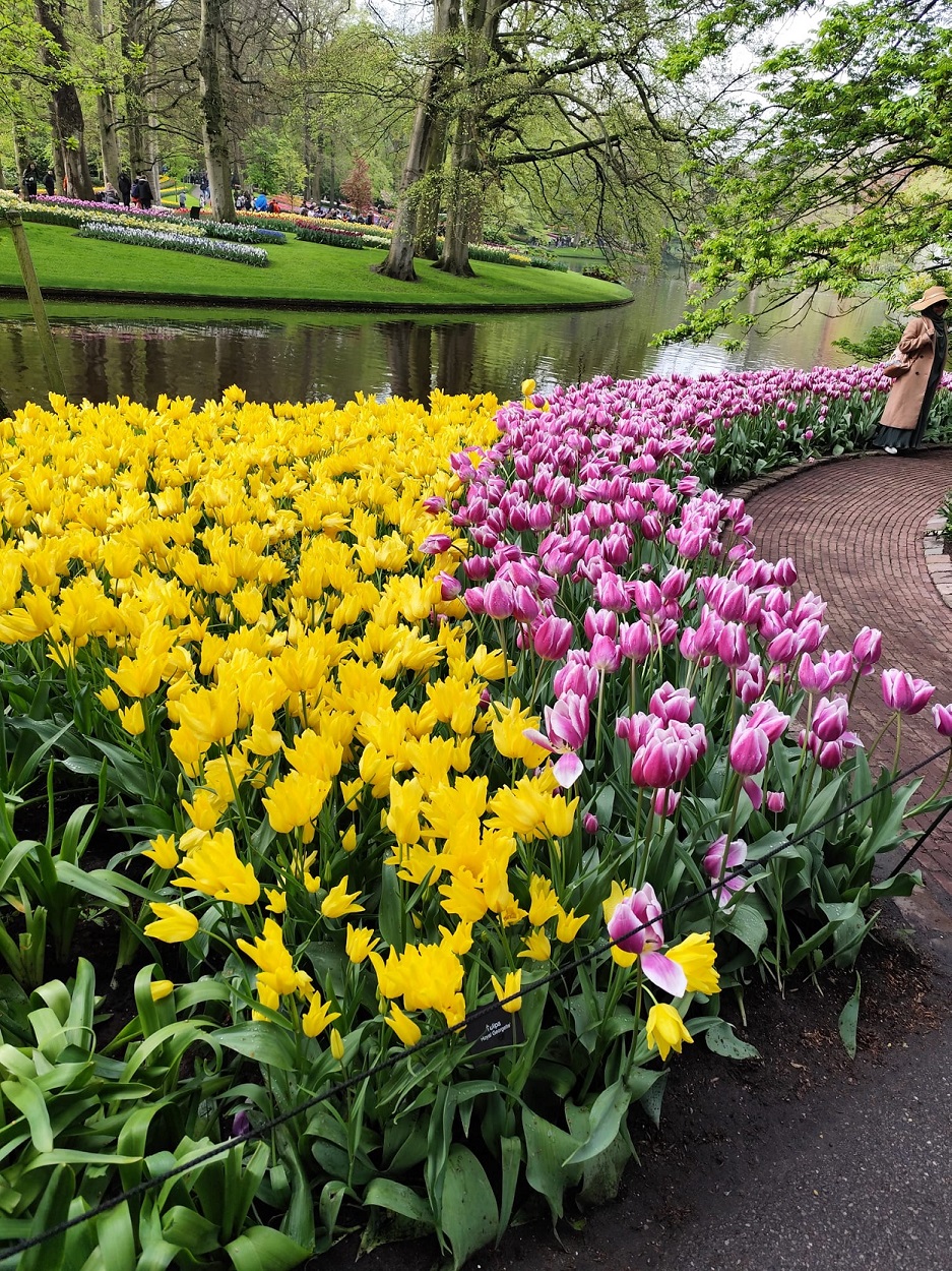 Bilety do Keukenhof 2026